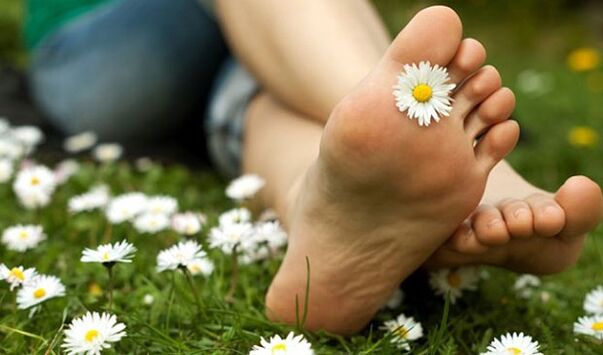 Legs without varicose veins after prevention with folk remedies